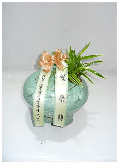 뱹ڱ