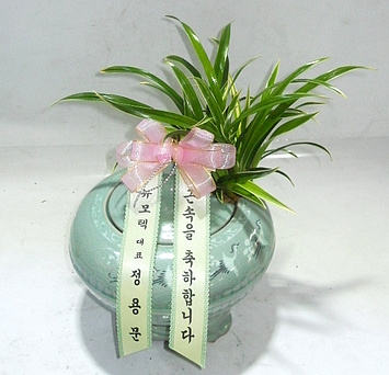뱹ڱ