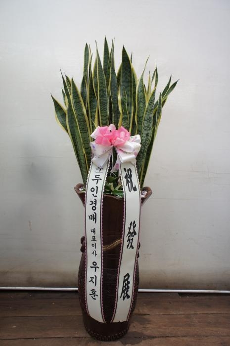 꼼