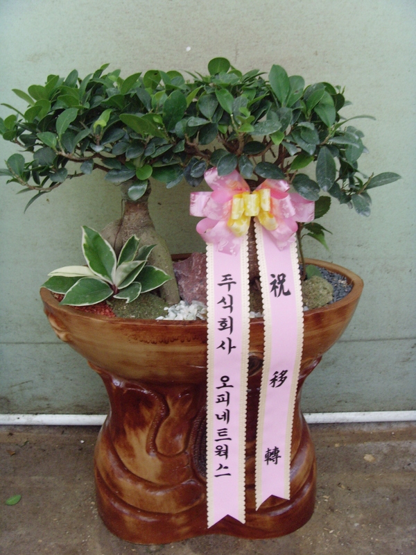 ٺִ 