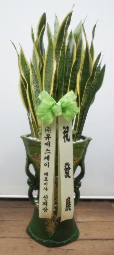꼼