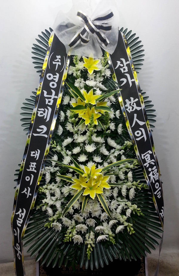 ȭȯ-뱸 