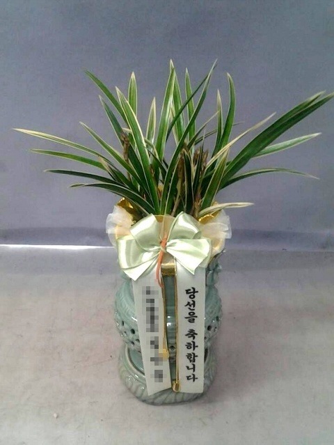 Ȳäȫ