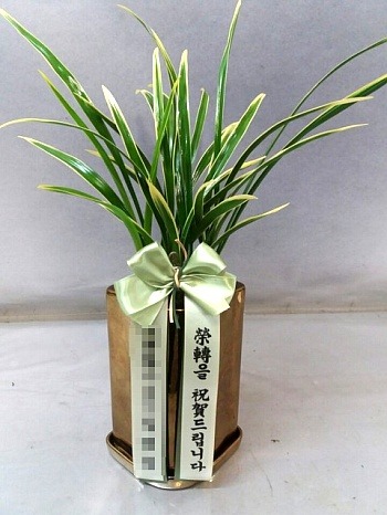 糭