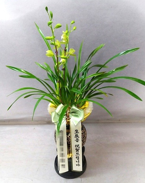 糭