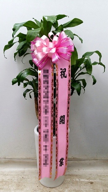 񱫸
