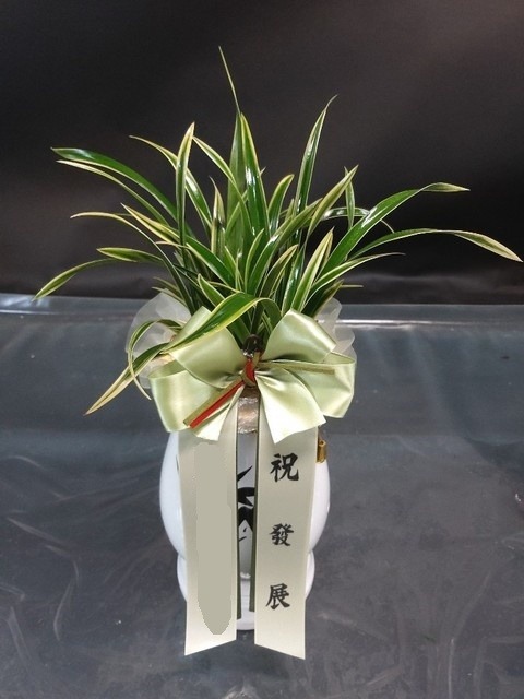 뱹 ڱ