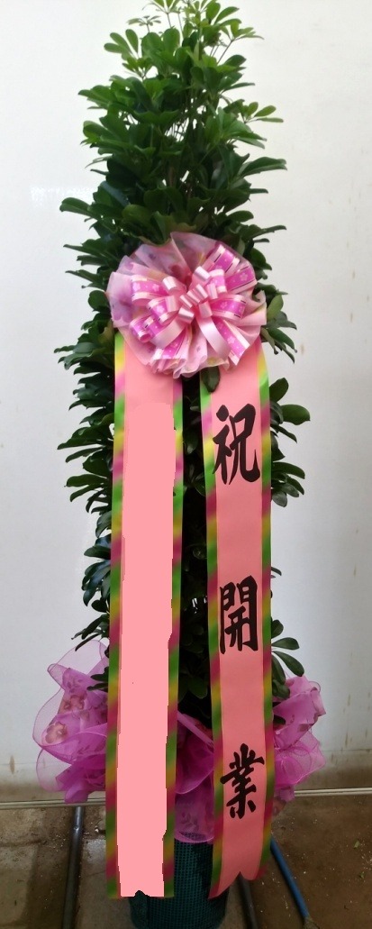 ȫ