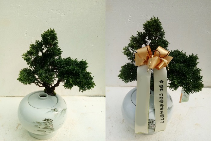  ڱ