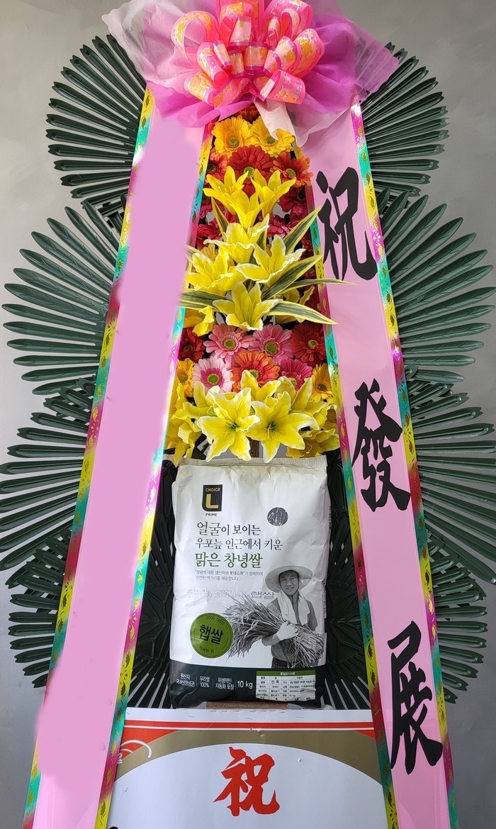 ȭȯ 10kg