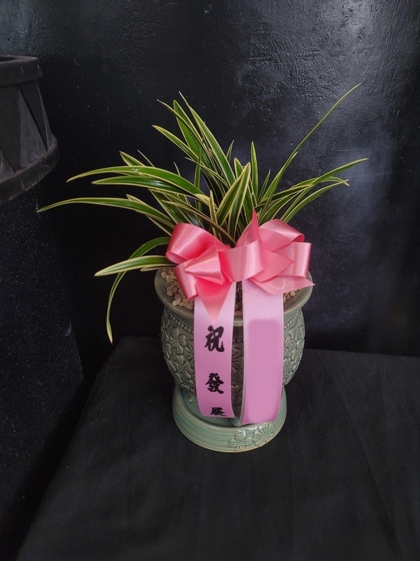 뱹 ڱ