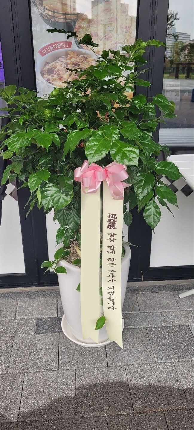 ȭ 캸