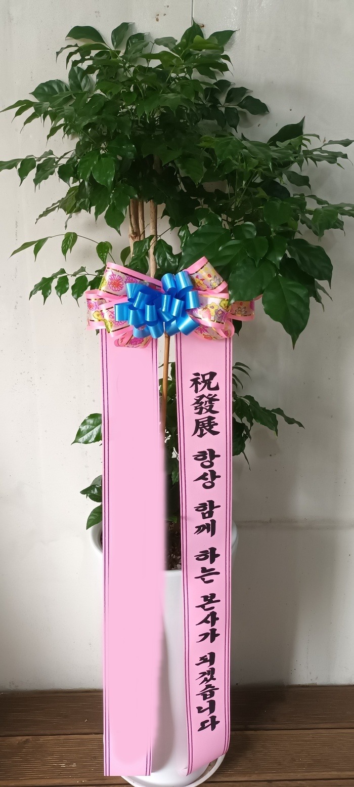ȭ 캸