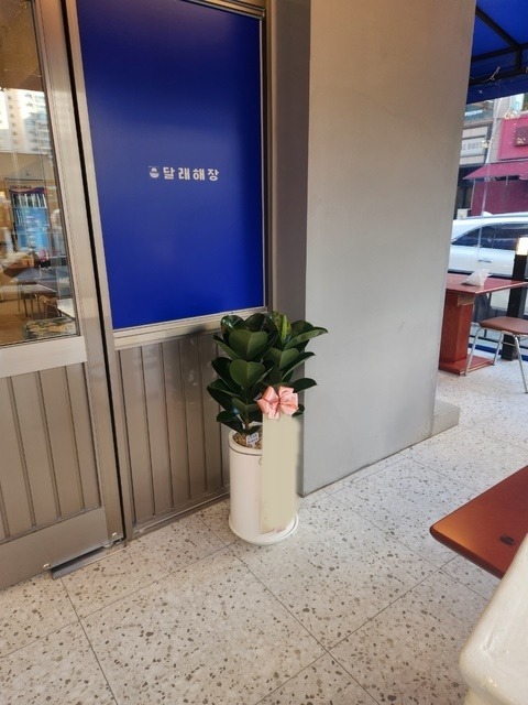 ȭ 