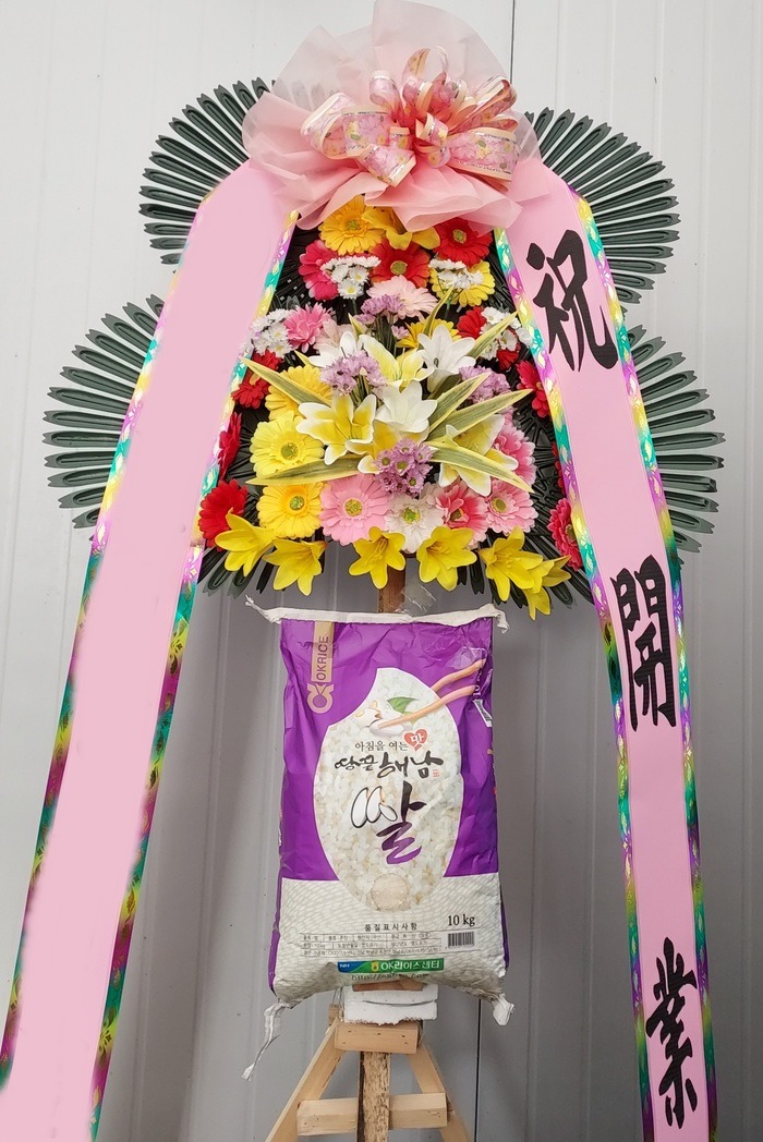 ȭȯ ȭȯ 10kg