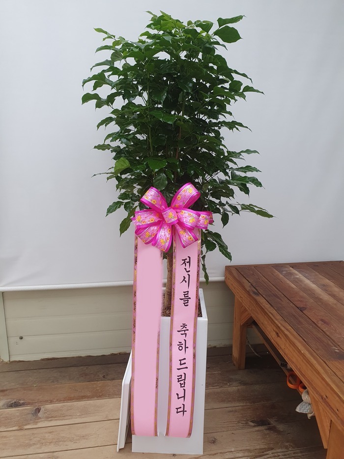 ȭ 캸