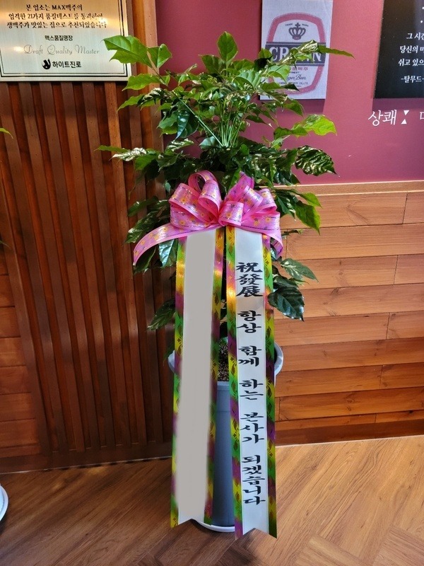 ȭ 캸