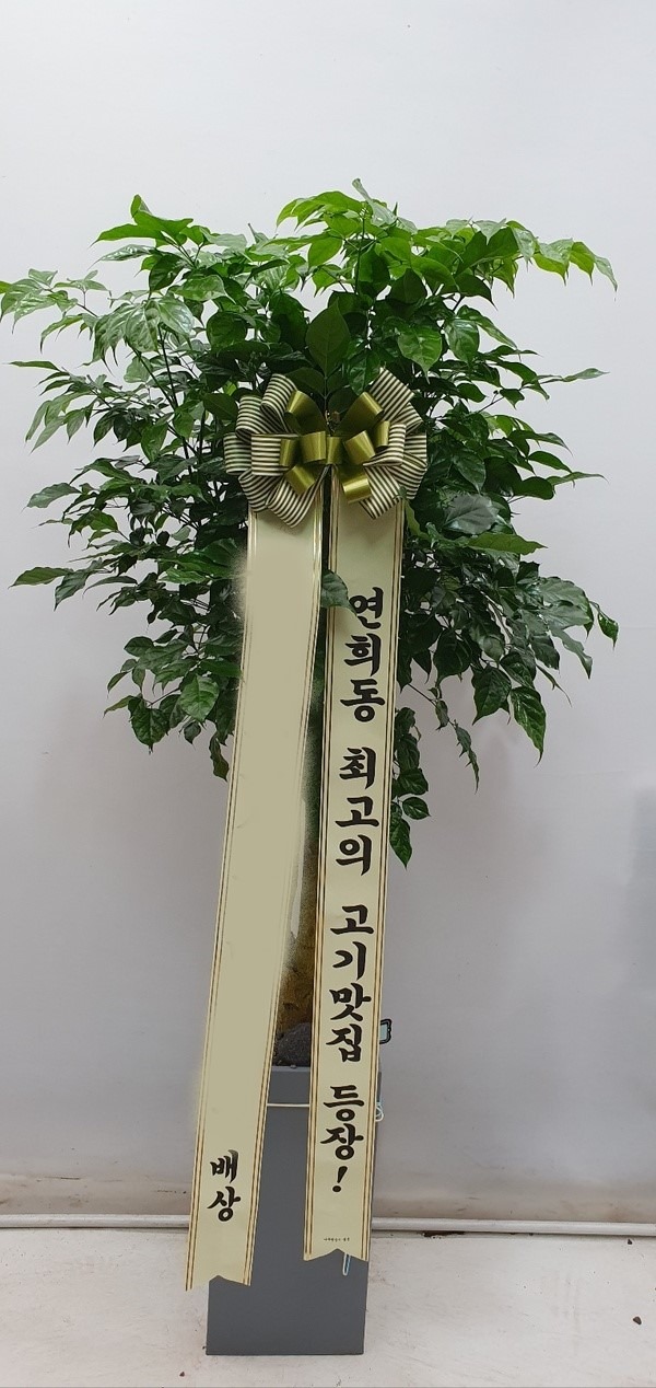 ȭ 캸