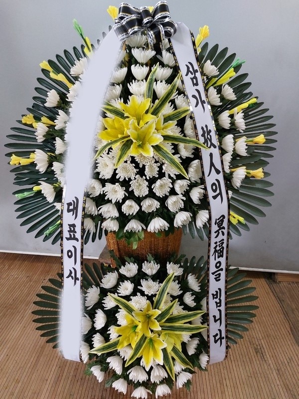 ȭȯ ٵ 2