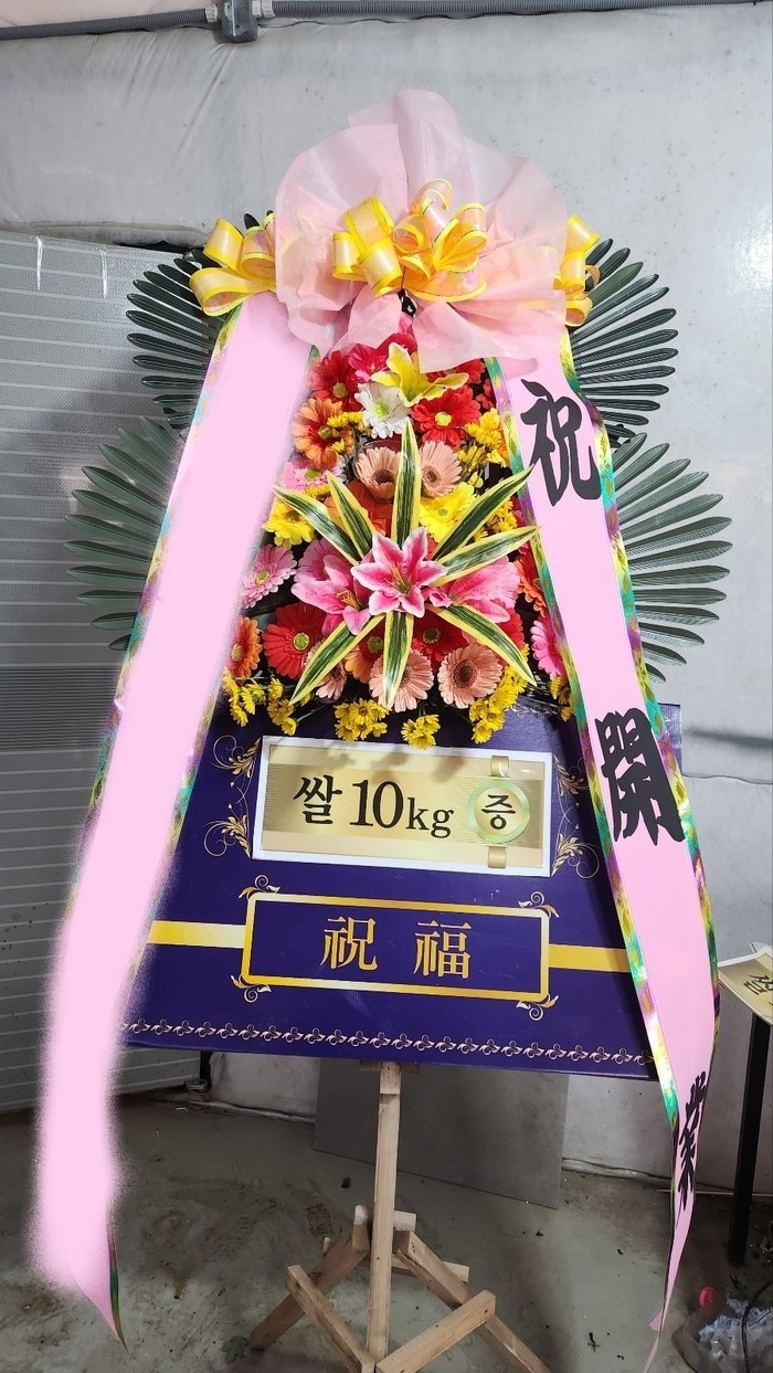  ȭȯ 10kg