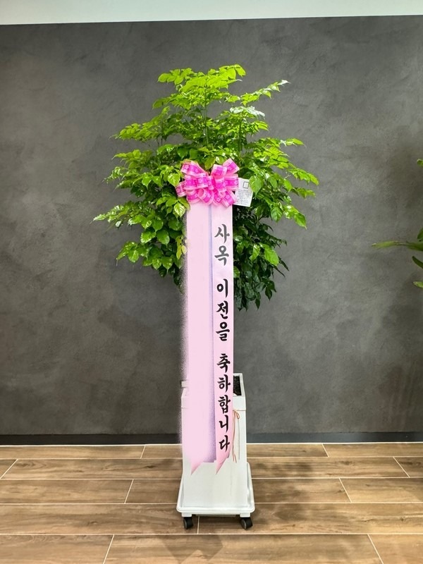 ȭ 캸
