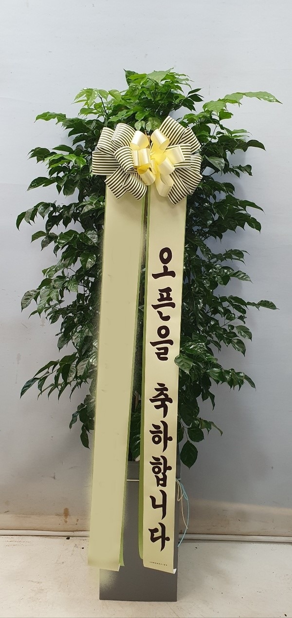 ȭ 캸