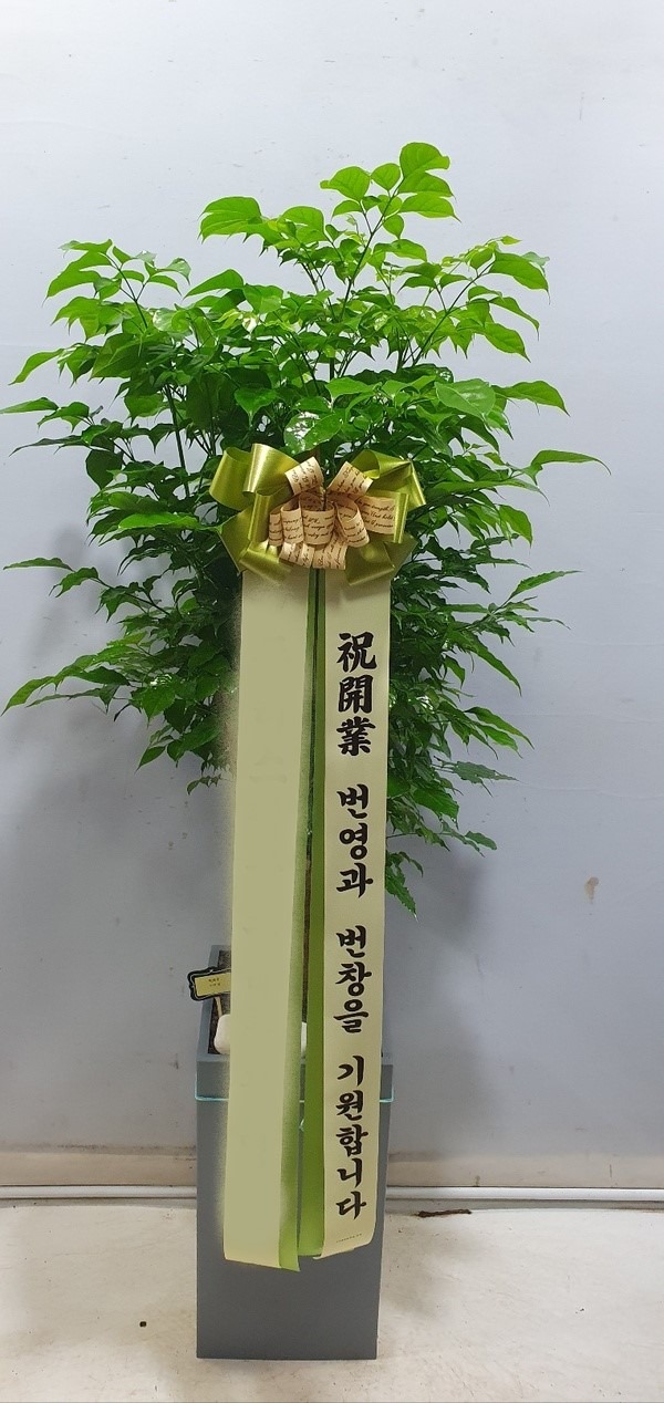 ȭ 캸