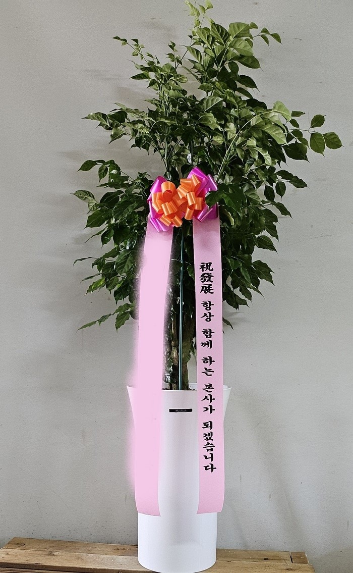 ȭ 캸
