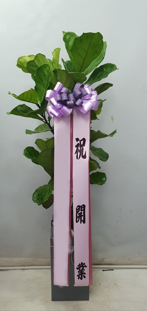 ȭ 