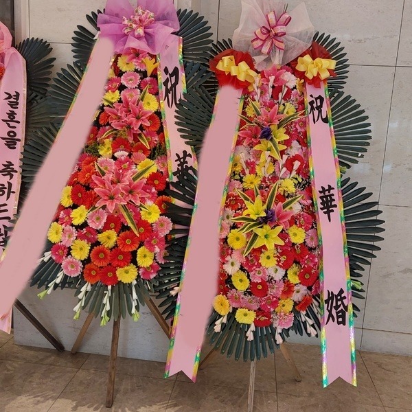 3ȭȯ